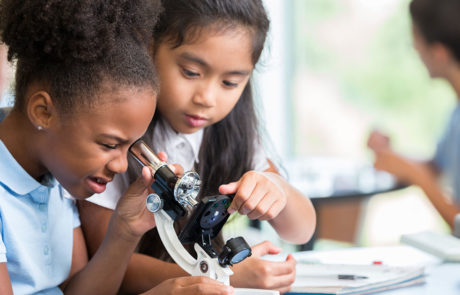 stem-stem education-stemscopes-girls in stem